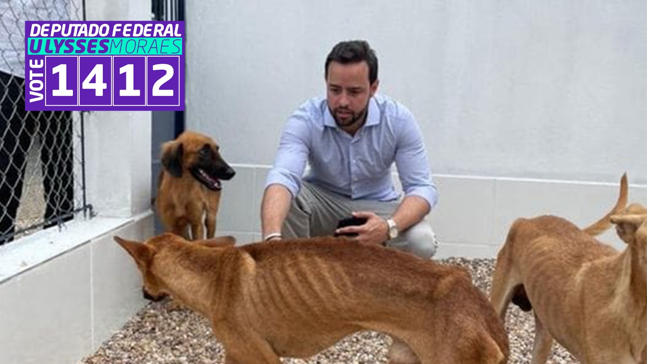 Conheça Ulysses Moraes, o deputado defensor dos animais